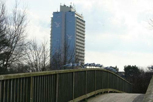 Apartamento Ferienstudio K1303 Mit Ostseeblick