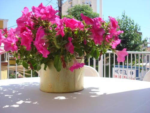 Hotel Fin De Semana