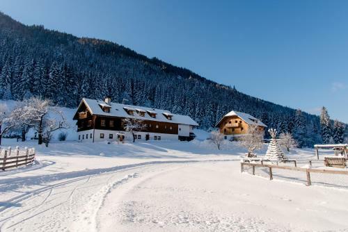 Apartamento Ferienparadies Wiesenbauer