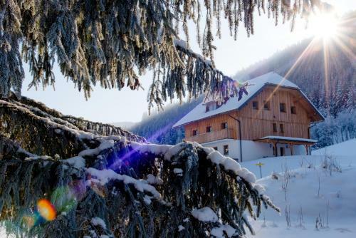 Apartamento Ferienparadies Wiesenbauer