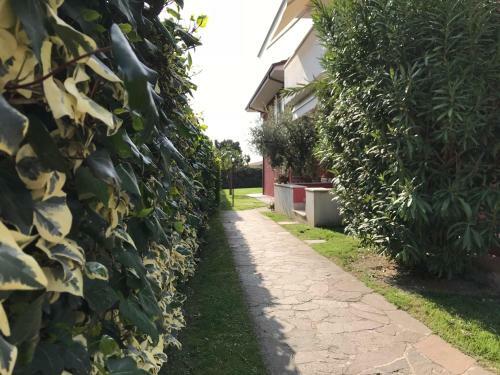 Bardolino Lake Apartments