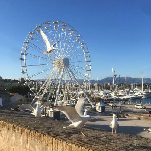 Apartamento Tortue De Mer