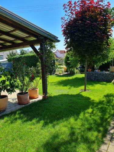 Apartamento Haus Schneider