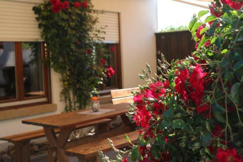 Hostal G�stehaus Am F�rstweg Volker Kuhn Juniorsuite & Studio