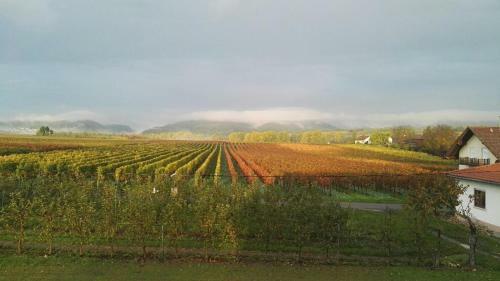 Apartamento Valley Ferienwohnung S�w
