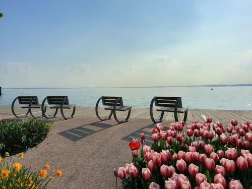 Apartamento Dolcevivere Bardolino
