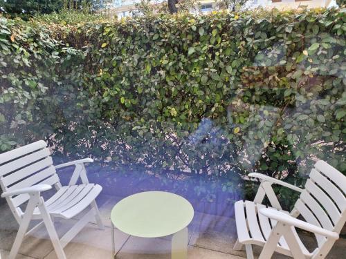 Apartamento L'emeraude T2 Terrasse Jardinet