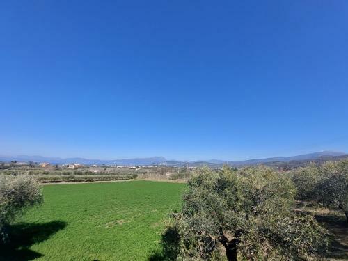 Apartamento Casa Tra Gli Olivi