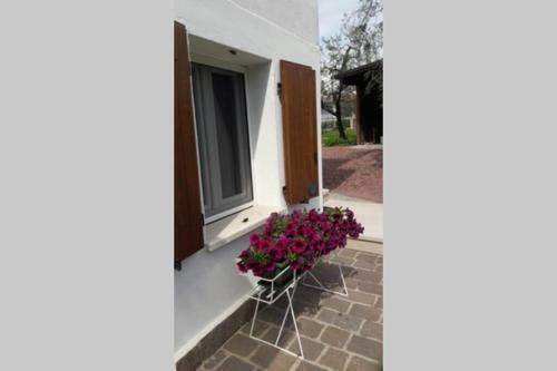 Apartamento Casa Tra Gli Olivi