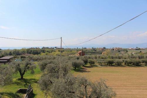 Apartamento Casa Tra Gli Olivi