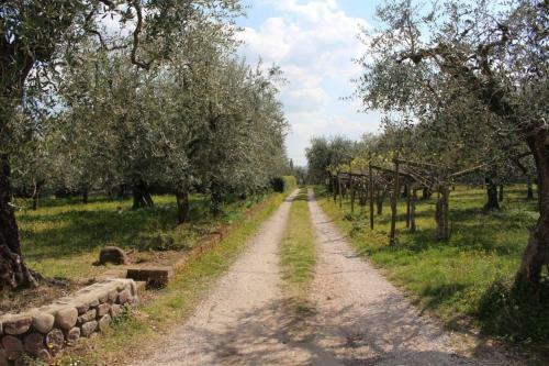 Apartamento Casa Tra Gli Olivi