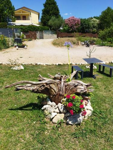 Rosa Dei Venti Sul Garda