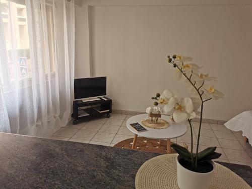 Apartamento Studio de 35m� Entre Antibes Et Juan Les Pins