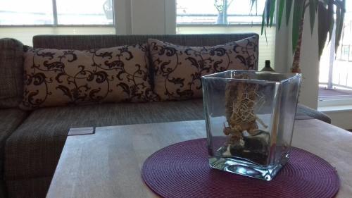 Apartamento Ferienhaus Kaptein Meyer