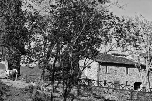 Villa Antico Casale Di Ferdinandi