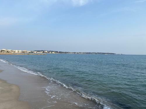 Apartamento R�sidence Les Eucalyptus