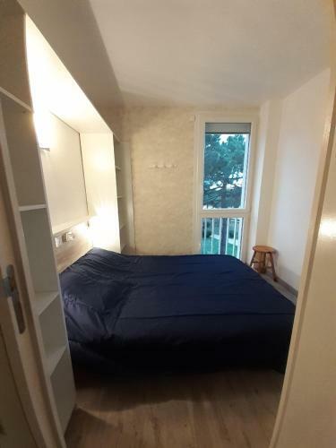 Apartamento Le Belvedere 2 - Acces Direct Plage