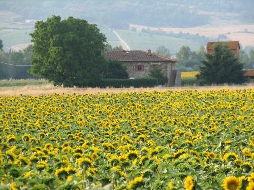 Agroturismo Agriturismo Poderi Minori