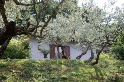 Apartamento La Casetta Di Piera