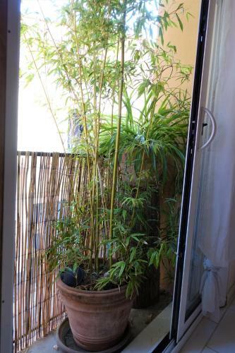 Maison Small Luxury ( Planxa,suite,solarium,jacuzzi,pas De Vis � Vis)