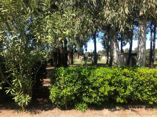 Apartamento Appart Wifi, Plage 200 M�tres