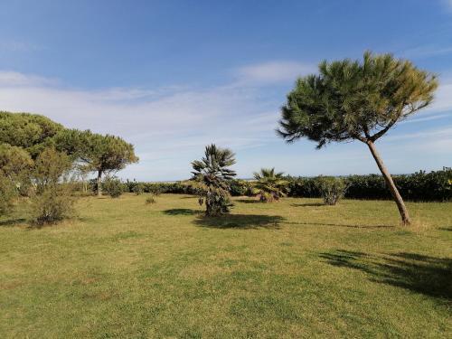 Apartamentos Etoile De Mer F2