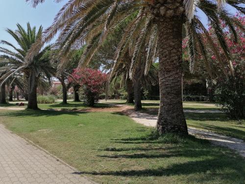 Apartamentos Etoile De Mer F2