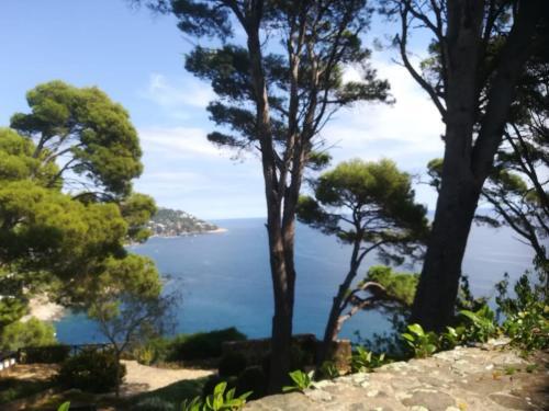 Apartamentos Etoile De Mer F2