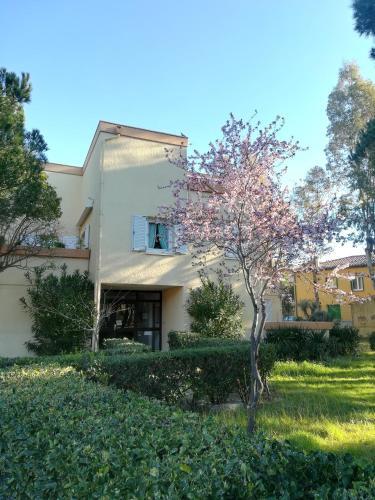 Apartamentos Etoile De Mer F2