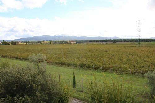 Apartamento Podere Campo Alle Serpi