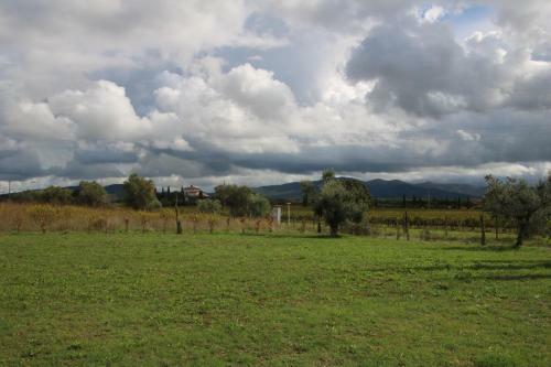 Apartamento Podere Campo Alle Serpi
