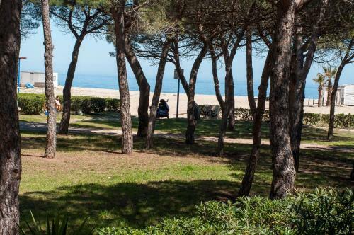 Apartamento Argel�s Plage