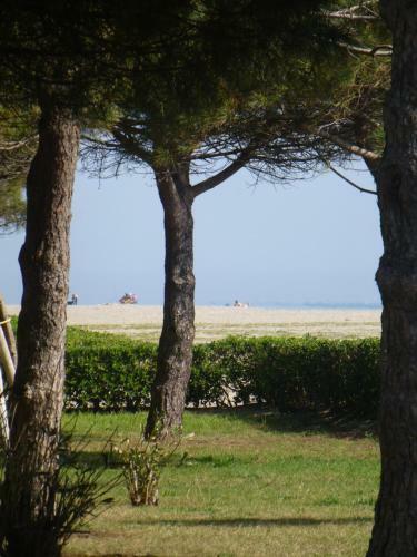 Apartamento Argel�s Plage