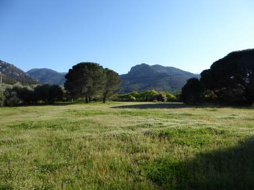 Mas Paret G�te Massane