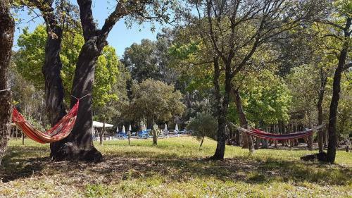 Apartamento Marina 1 - Bilocale