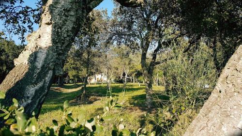 Apartamento Etrusco 3 - Trilocale