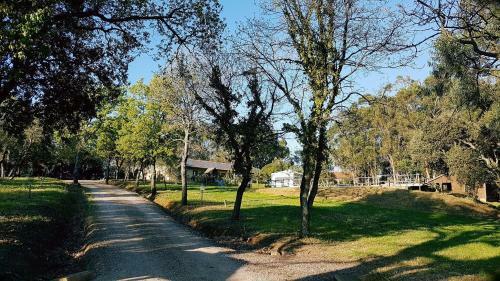 Apartamento Etrusco 3 - Trilocale