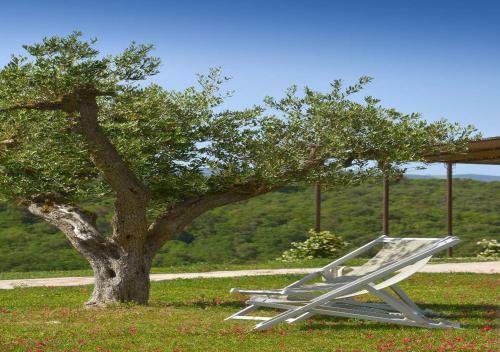 Villa Guardistallo By Mc Luxury Rentals