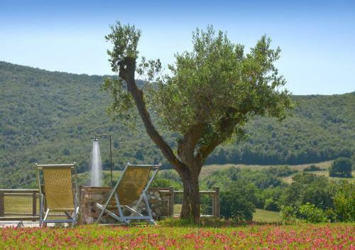 Villa Guardistallo By Mc Luxury Rentals