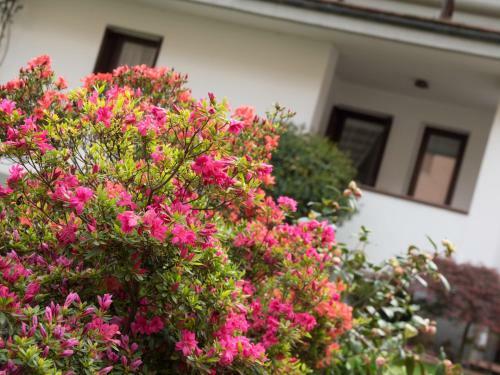 Apartamento Casa Vacanze Boario