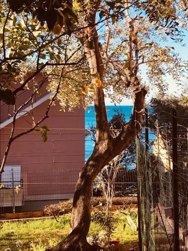 Apartamento Happy House Bogliasco