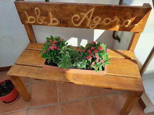 Bed & Breakfast Agor� Bisceglie