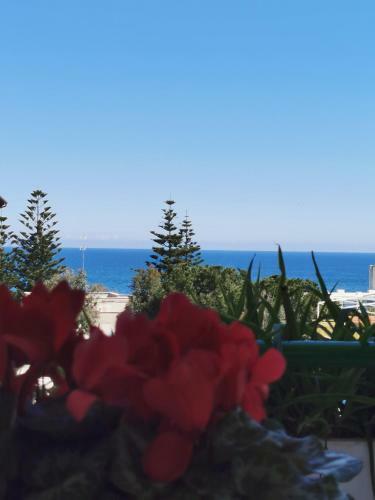 Apartamento Il Gabbiano Casa Al Mare