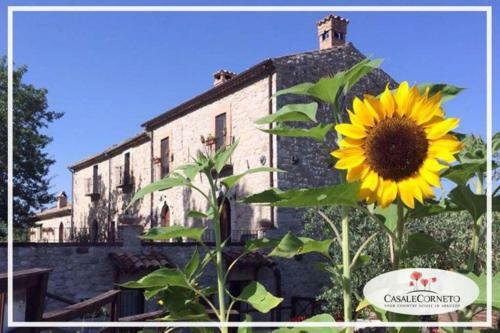 Apartamento Casa Majella Di Casale Corneto