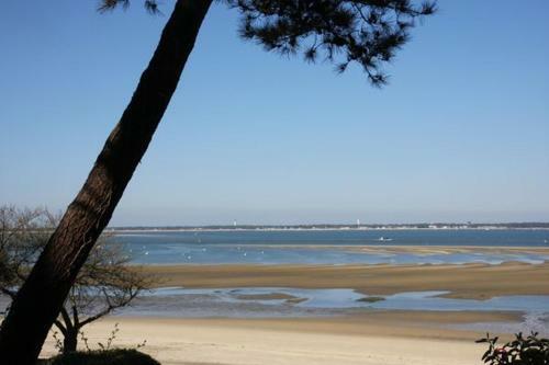 Apartamento Appart 1er Ligne Pied Dans L'eau Plage+parking