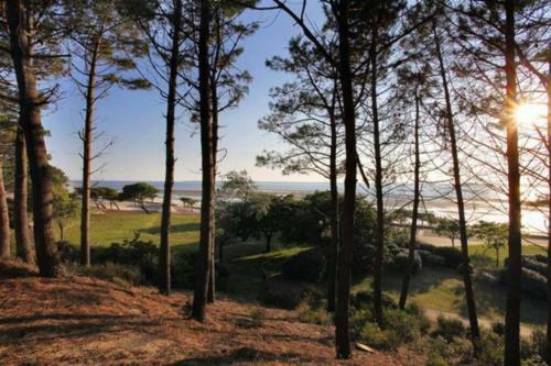 Apartamento Appart 1er Ligne Pied Dans L'eau Plage+parking