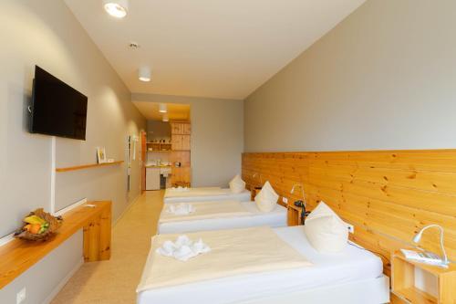 Hostel Haus 54