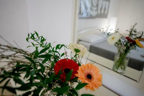 Apartamento Appartamento Paloma