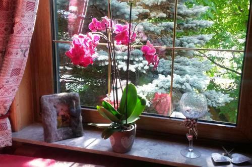 Hostal Pension G�bel