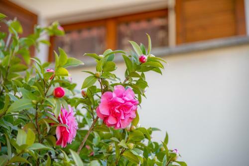 Apartamento Easy Welcome Primula - Bellagio